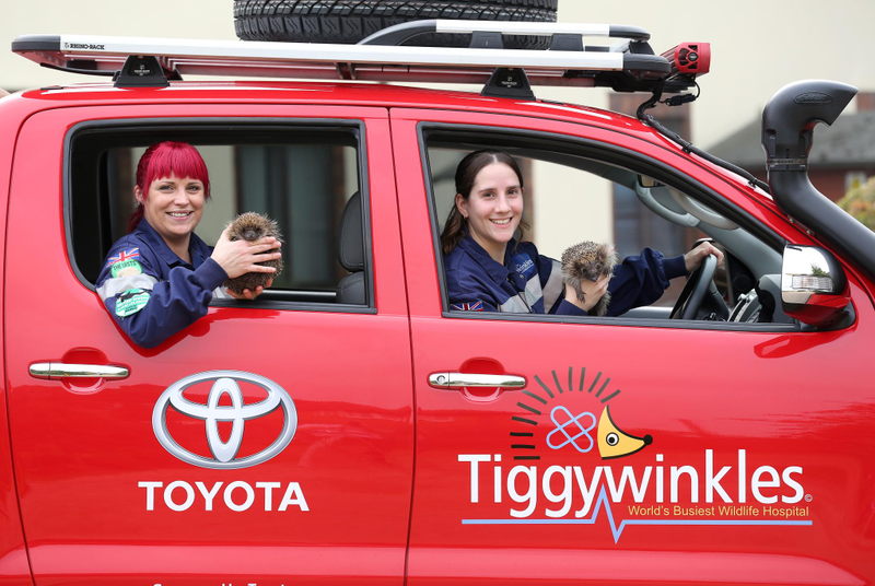 Illustration for article titled Tiggywinkles To The Rescue With New Hilux Ambulance